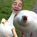 Profile Picture of Michael Pigeon (@michaelpigeon) on Instagram