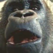 Profile Picture of Michael Olivares (@michaelolivares8155) on Youtube