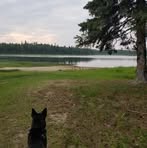 Profile Picture of Johnny Michel (@Johnny-Michel) on Facebook