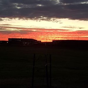 Profile Picture of Steven Boyne (@srboyne1) on Twitter