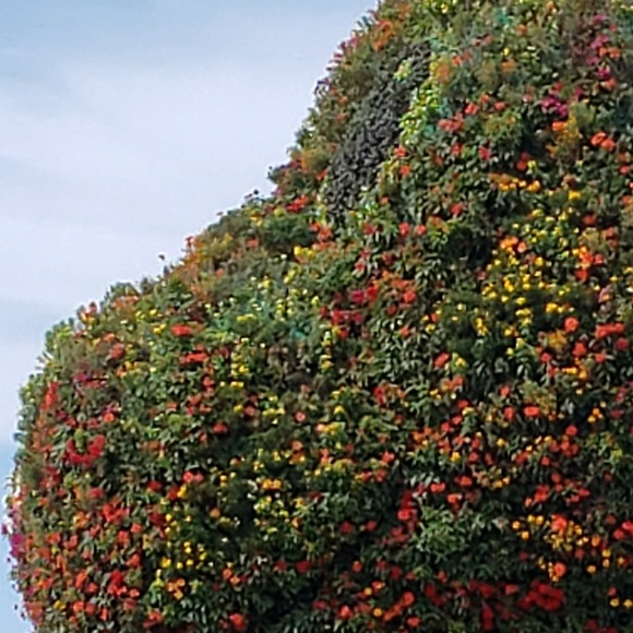 Zoe Beckerman - Poshmark Profile Picture of Zoe Beckerman (@jzbecker) on Poshmark