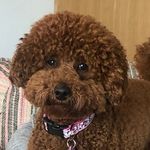 Jeffrey Weiner - Instagram Profile Picture of Jeffrey Weiner (@jeffrey__weiner) on Instagram