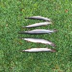 Profile Picture of Johnathan Cole (@johnathancole_23) on Instagram