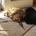 Profile Picture of Mary Ann Manter (@mary.a.manter) on Facebook