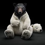 Profile Picture of Eric Xiong (@pop_uh_bear) on Instagram