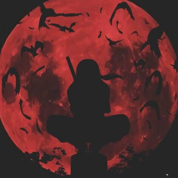 Profile Picture of Katee Cifelli (@kdann05) on Poshmark