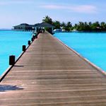 Profile Picture of James Healy (@healy9997) on Instagram