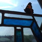 Profile Picture of Tom Worthington (@misterworthington) on Instagram