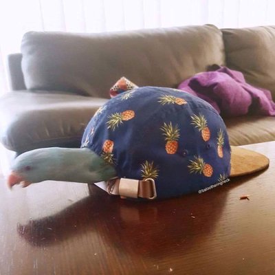 Profile Picture of Eric Wallace (@blind7125) on Twitter