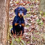 Profile Picture of Michael Dieffendahl (@michael.dieffendahl) on Facebook