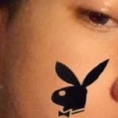 david.ziang. - Tiktok Profile Picture of david.ziang. (@davidziang) on Tiktok