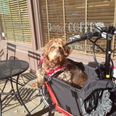 Profile Picture of Joe Kinane. (@phrase7fable) on Twitter