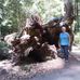 Profile Picture of Janet Rustad Smith (@janet.r.smith1) on Facebook
