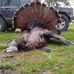 Profile Picture of Michael Applegate (@michael.applegate.965) on Facebook