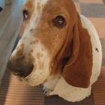 Profile Picture of Jeff MacMillan (@jeff.macmillan.101) on Instagram