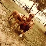 Profile Picture of silvia strumia (@sylviastrumia) on Instagram