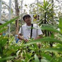 Profile Picture of Sonif Harfianto (@sonif-harfianto) on Quora