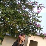 Profile Picture of jerry singh (@jerrysingh17) on Instagram