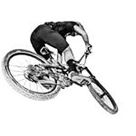 Profile Picture of Bill Freeman (@billfreemanphoto) on Instagram