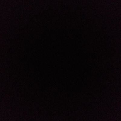 Profile Picture of Ross (@RosFloresLora1) on Twitter