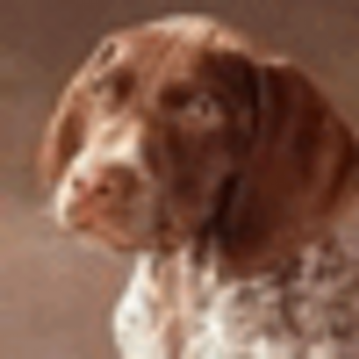 Profile Picture of Eleanor Wolf (@wolf_eleanor) on Twitter