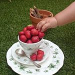 ginnys crockery - Instagram Profile Picture of ginnys crockery (@ginnys_crockery) on Instagram