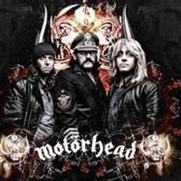 Profile Picture of Lynne Carbone (@lynne-carbone-1) on Quora