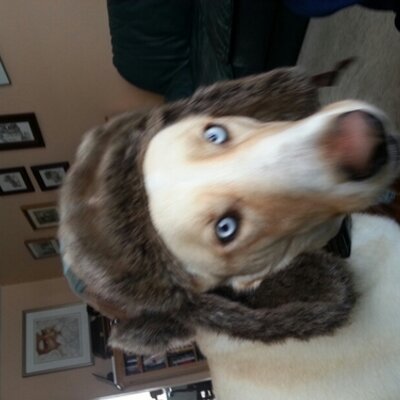 Profile Picture of Drew Appleton (@drappleton87) on Twitter
