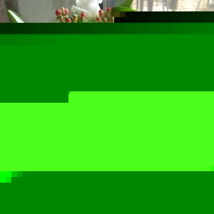 Profile Picture of Ana Chino (@347427403) on Myspace