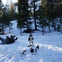 Michael Pizarro - Quora Profile Picture of Michael Pizarro (@michael-pizarro-9) on Quora