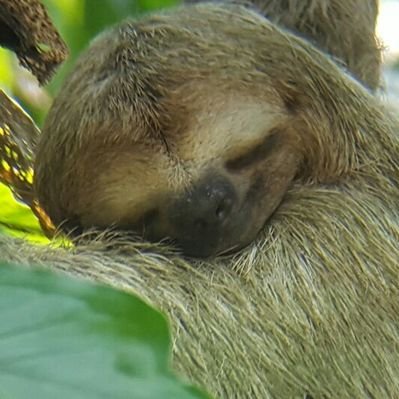 John Holden - Twitter Profile Picture of John Holden (@1johnholden) on Twitter