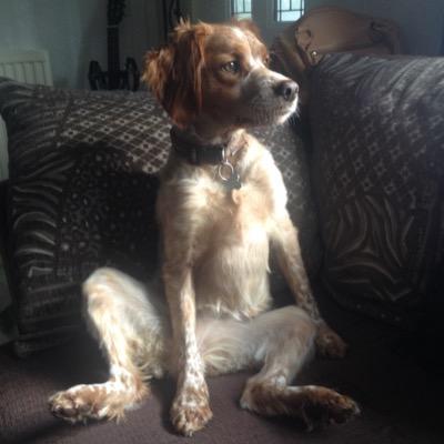 Profile Picture of Maggots (@StephenMargetts) on Twitter