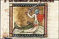 Profile Picture of Zitironon Wikipedia