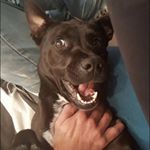 Profile Picture of Wade James Mctigue (@wadejamesmctigue) on Instagram