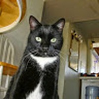 Profile Picture of Michael Stage (@michael-stage-1) on Quora