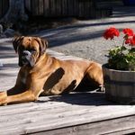 Profile Picture of Marie Palmgren (@palmgrenmarie) on Instagram