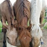 ryan matthew whitacre - Instagram Profile Picture of ryan matthew whitacre (@ryanmatthewwhitacre) on Instagram