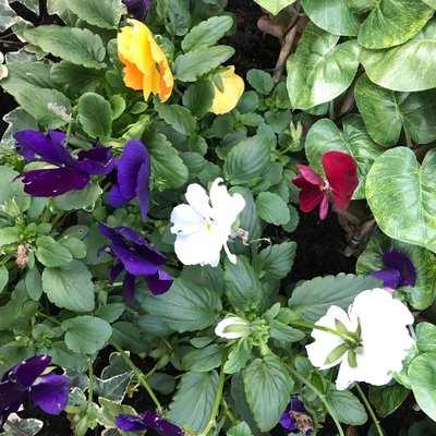 Profile Picture of Yasmin Baksh (@baksh_yasmin) on Twitter