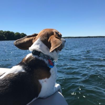 Profile Picture of Joe Karlgaard (@jkarlgaard) on Twitter