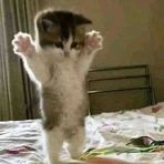 Profile Picture of Lucie Huart (@lucie-huart-61557533346916) on Facebook