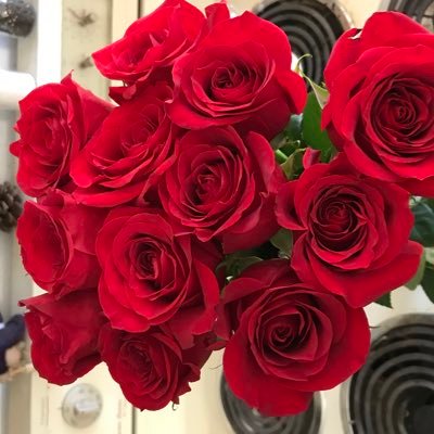 Profile Picture of Michelle Locker (@LockerMichelle) on Twitter