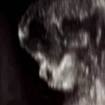 Profile Picture of Mostafa rahbar (@rahbar2261) on Instagram