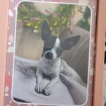 Profile Picture of Geoffrey Holden (@holdengeoffrey) on Instagram