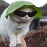 Profile Picture of KEVIN LAFAYETE SIQUEIRA (@kevin35066) on Pinterest