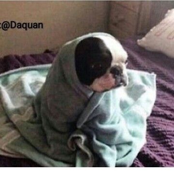 Profile Picture of Vicki Allen (@vickiallen) on Tiktok