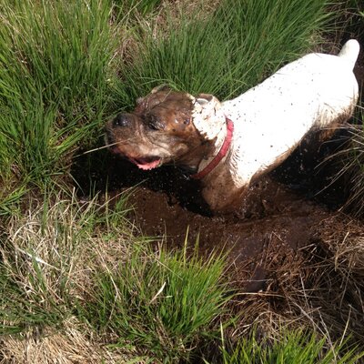 Profile Picture of Jordan Halliday (@gabestation) on Twitter