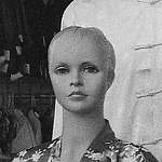 Profile Picture of Lawrence Eric  Di Stefano (@Lawrence Eric DiStefano) on Flickr