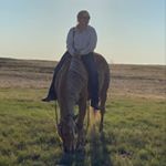 Profile Picture of Stephanie Sylvestre (@stephanie.blackdiamondranch) on Instagram