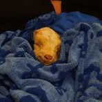 Profile Picture of Joel C. Crotzer (@joel.c.crotzer) on Facebook