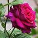 Profile Picture of Kador Kador (@kador.kador.7127) on Facebook